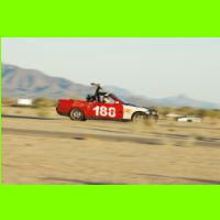 613 - LeMons Chuckwalla 2012.jpg